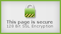 This page is secure. 128 Bit SSL Encryption